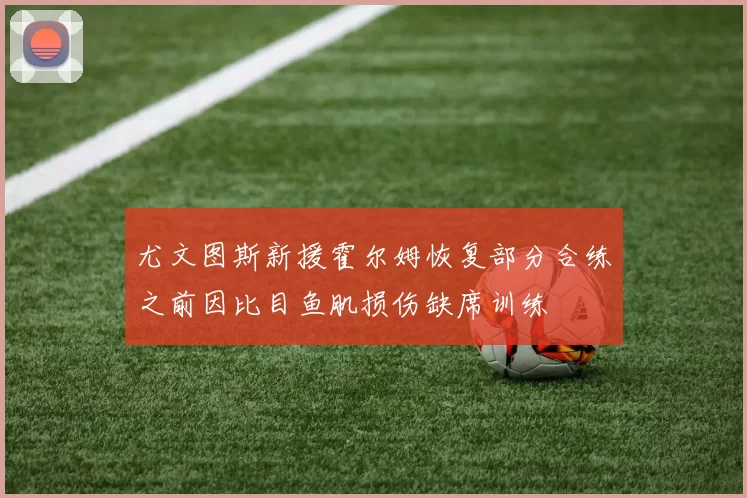 尤文图斯新援霍尔姆恢复部分合练之前因比目鱼肌损伤缺席训练
