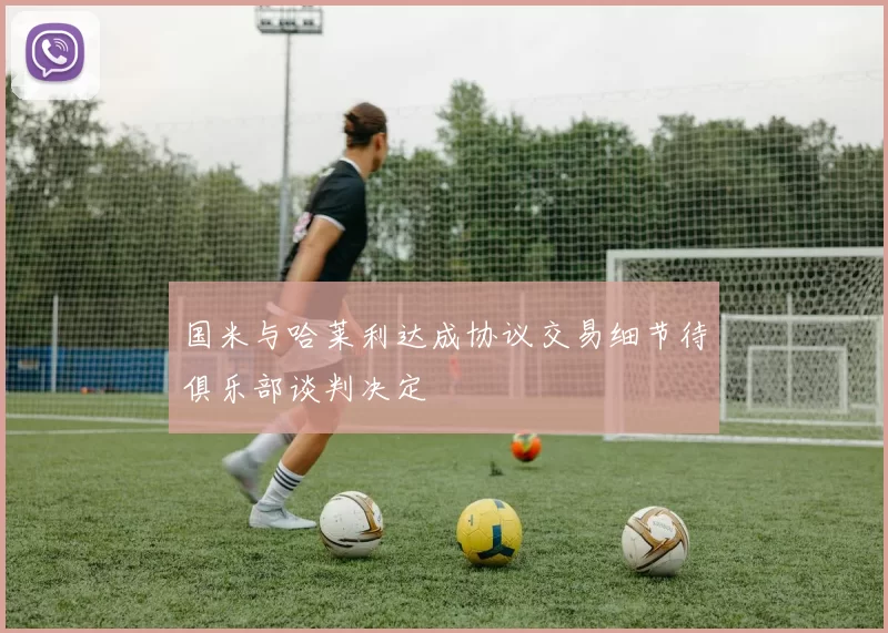 国米与哈莱利达成协议交易细节待俱乐部谈判决定
