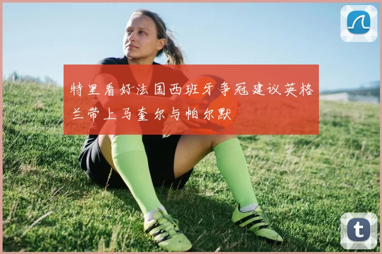 特里看好法国西班牙争冠建议英格兰带上马奎尔与帕尔默