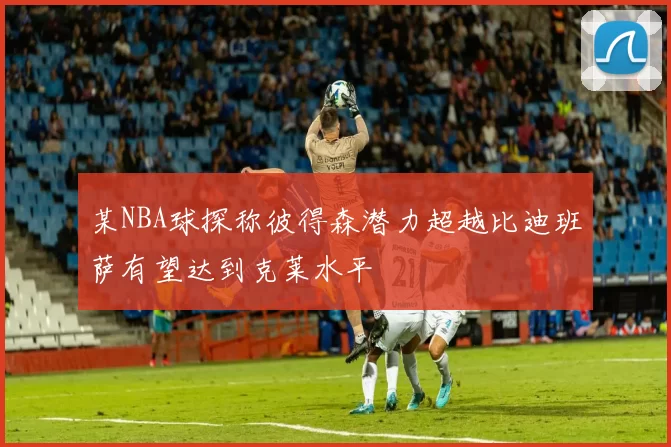 某NBA球探称彼得森潜力超越比迪班萨有望达到克莱水平