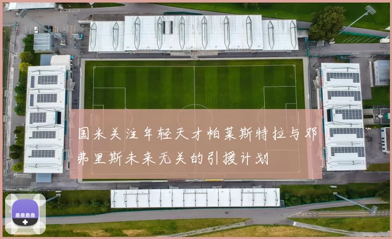 国米关注年轻天才帕莱斯特拉与邓弗里斯未来无关的引援计划